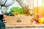 Alimentos ecológicos, qué son, requisitos y legislación Alimentos ecológicos