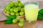 Amla, el mejor antioxidante ayurvédico Amla