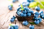 Arándano, antiinflamatorio natural y antiséptico urinario