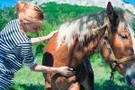 Cólico equino: qué es, causas y factores predisponentes Mujer acariciando a un caballo con cólico equino