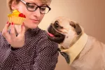 Alimentos prohibidos para los perros