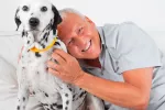 Perros ideales para personas mayores Perros para personas mayores