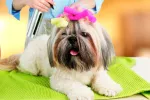 Peluquerías caninas