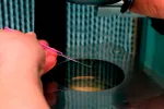 Vitrificación de óvulos, preserva tu fertilidad Vitrificación de óvulos