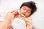 Qué es la fiebre de Oropouche Qué es la fiebre de Oropouche