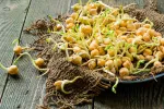 Germinados: beneficios, riesgos y cómo prepararlos Germinados
