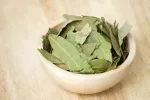 El laurel: propiedades y aplicaciones Hojas de laurel