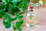 Mejorana, aromática y saludable Mejorana
