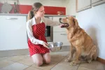 Necesidades nutricionales del perro anciano Mujer con dando de comer a su perro anciano