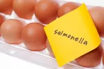 Salmonelosis Infección por Salmonella