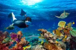 Snorkel: sumérgete en otro mundo Snorkel: sumérgete en otro mundo