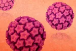VPH (virus del papiloma humano) Qué es la infección por VPH
