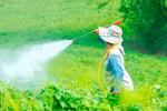 Mujer embarazada fumigando con pesticidas