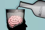 El alcohol sigue dañando el cerebro semanas después de dejar de beber Concepto de alcohol y cerebro