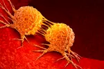 Logran mejorar la efectividad de la inmunoterapia contra el cáncer Inmunoterapia contra el cáncer