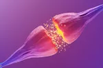 Recuperan neuronas deterioradas por una enfermedad neurodegenerativa Neuronas deterioradas vuelven a reconcectarse