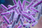 Bacterias intestinales que contribuyen a los síntomas del autismo