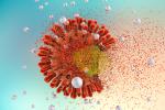 Eliminación del VIH en ratones mediante antirretrovirales y terapia CRISPR