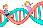 Concepto de autismo y factores genéticos