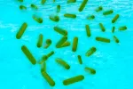 Legionella, cómo se contagia Legionella