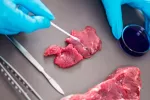 Análisis químico de un trozo carne en un laboratório