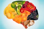Asocian la dieta vegana con la falta de un nutriente para el cerebro Dieta vegana y falta de nutrientes para el cerebro