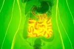 La diversidad del microbioma está relacionada con la calidad del sueño La microbioma está relacionada con la calidad del sueño