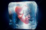 Embrión congelado