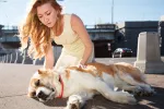 Primeros auxilios del síncope canino