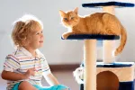 Educar al gato en casa