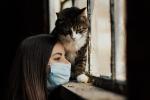 Las personas puedes transmitir el coronavirus a gatos