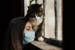 Las personas puedes transmitir el coronavirus a gatos