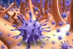 El coronavirus infecta las células del intestino
