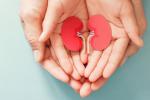 Donación de un riñón de donante vivo en España