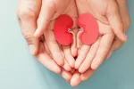 4.652 pacientes han recibido un riñón de donante vivo en España Donación de un riñón de donante vivo en España