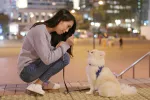 Los perros y gatos deberán ser tratados como mascotas en China Los perros y gatos serán tratados como mascotas en China