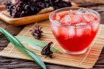 Infusiones frías de verano Infusiones frías de verano: hibisco