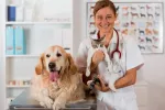 Veterinario con un perro y un gato en la consulta