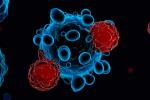 lustración 3d de células del sistema inmunitario T que atacan al covid-19