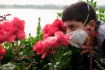 La anosmia es la pérdida total del olfato. Joven intentando oler una rosa de un jardín