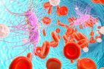 Bacteria Escherichia coli en sangre