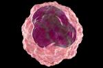 Las células inmunitarias de la médula ósea cambian con el coronavirus