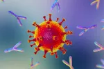 Anticuerpos específicos contra el COVID-19 pueden durar más de 7 meses Anticuerpos específicos contra el COVID-19 podrían durar más de 7 meses