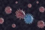 Variación genética del coronavirus
