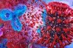 Identifican un mini-anticuerpo sintético que neutraliza el coronavirus Mini-anticuerpo neutraliza al SARS-CoV-2