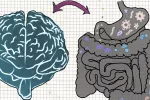 vínculo entre el alzhéimer y la microbiota intestinal