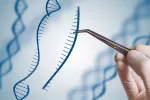 CRISPR, herramientas de edición genética