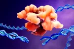 CRISPR-Cas9, eficaz en cáncer