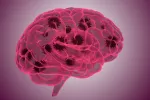 Descubren cómo entra el coronavirus en el cerebro a través de la nariz Así entra el coronavirus al cerebro