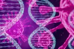 Identifican genes diana para el tratamiento del COVID-19 grave Genes diana para tratar el COVID-19 grave